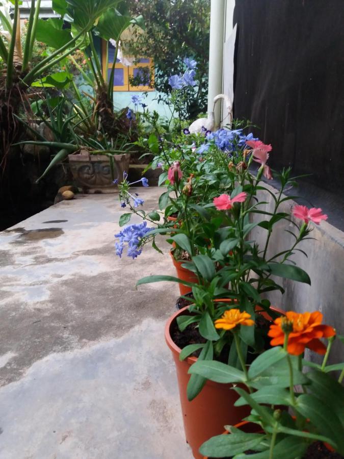 Mazz Homestay Негомбо Екстериор снимка